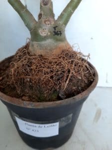 LEILÃO Nº 423 - Imagem 10