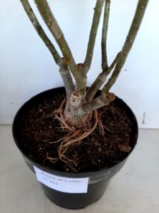 LEILÃO Nº 444 - Imagem 15