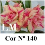 ENXERTO COR LM 140