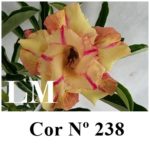 ENXERTO COR LM 238