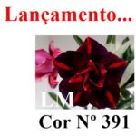 ENXERTO COR LM 391