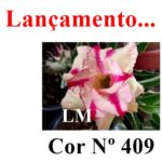 ENXERTO COR LM 409