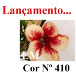 ENXERTO COR LM 410
