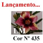 ENXERTO COR LM 435