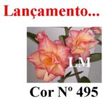 ENXERTO COR LM 495