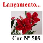 ENXERTO COR LM 509