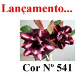 ENXERTO COR LM 541