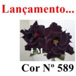ENXERTO COR LM 589