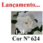ENXERTO COR LM 624