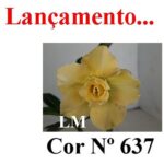 ENXERTO COR LM 637
