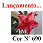ENXERTO COR LM 690