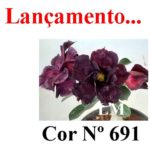ENXERTO COR LM 691