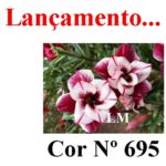 ENXERTO COR LM 695
