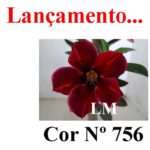 ENXERTO COR LM 756