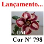 ENXERTO COR LM 798