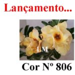 ENXERTO COR LM 806