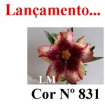 ENXERTO COR LM 831