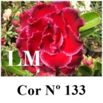 ENXERTO COR LM 133