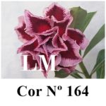 ENXERTO COR LM 164
