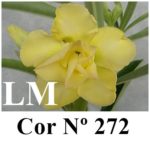 ENXERTO COR LM 272