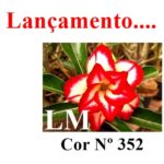 ENXERTO COR LM 352