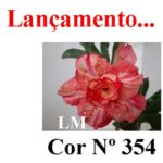 ENXERTO COR LM 354
