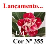 ENXERTO COR LM 355