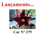 ENXERTO COR LM 379