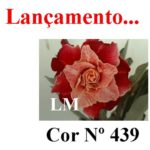 ENXERTO COR LM 439