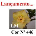 ENXERTO COR LM 446