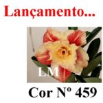 ENXERTO COR LM 459