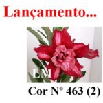 ENXERTO COR LM 463