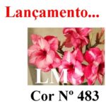 ENXERTO COR LM 483