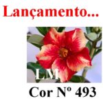ENXERTO COR LM 493