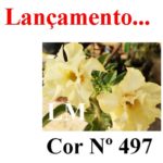 ENXERTO COR LM 497