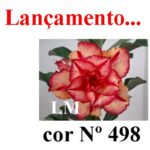 ENXERTO COR LM 498