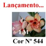 ENXERTO COR LM 544