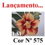 ENXERTO COR LM 575