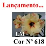 ENXERTO COR LM 618