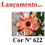 ENXERTO COR LM 622