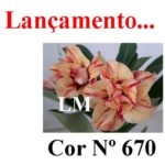 ENXERTO COR LM 670