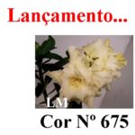 ENXERTO COR LM 675