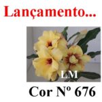 ENXERTO COR LM 676