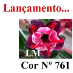 ENXERTO COR LM 761