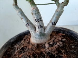 LEILÃO Nº 457 - Imagem 8