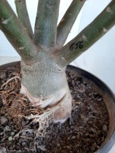 LEILÃO Nº 464 - Imagem 8