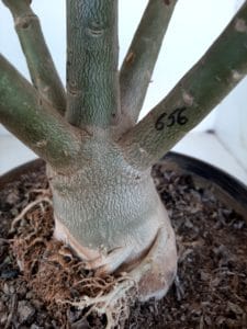 LEILÃO Nº 464 - Imagem 7