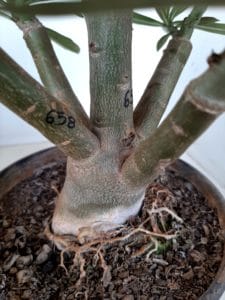 LEILÃO Nº 464 - Imagem 12