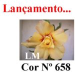 ENXERTO COR LM 658
