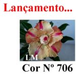 ENXERTO COR LM 706
